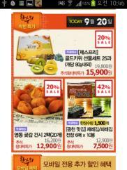 2012 상반기 모바읷쇼핑이용현황 - 쇼핑이용품목 ( 중복응답 ) -