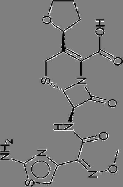 연장등록동물용의약품허가정보 제품명 주성분 Convenia Cefovecin Sodium 컨베니아 개, 고양이의세균성피부감염증및요로감염증 허가권자 한국화이자동물약품주식회사 허가일자 2009-10-28 수입품목허가 통상실시권자 (7R)-7-([(2Z)- 2-(2-amino- 1,3-thiazol- 4-yl)- 2-