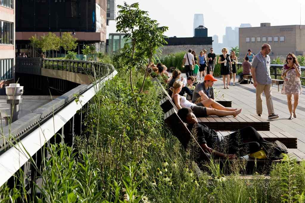 내자생식물 > <High Line 보행수요 > <High Line 공원기능 > 자료 :