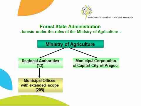 산림경영연구소 (ForestManagementInstitute) -조직구성 :4 개부,17 개과,9 개지소 -주요임무 국가산림인벤토리의구현 산림개발지역계획준비및데이터관리