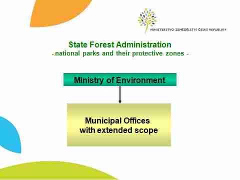 ResearchInstitue) -산림생태계연구소 (InstituteofForestEcosystem Research) 정부부처간역할및지방행정조직 -( 농업부 ) 총괄조정