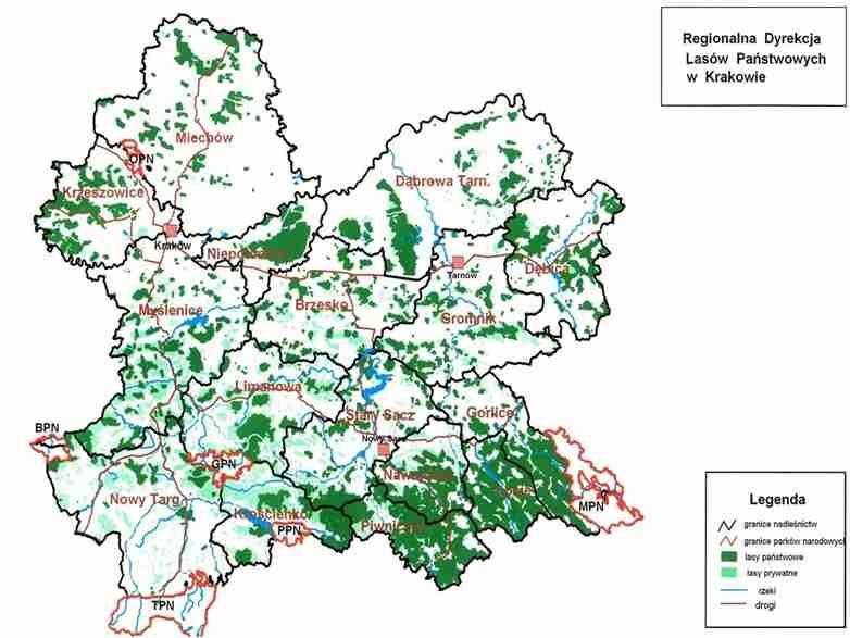 크라카우지방산림청 (RegionalnaDyrekcjaLasowPanstwowychw Krakowie) 산림면적 :380,221ha( 국유림 173,135ha 로 45.5% 차지 ) -3개주에걸쳐있는국유림을관리하고있으며이중마워폴스카주의국유림이대부분 (91.