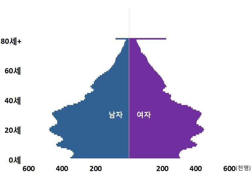 9. 인구피라미드 인구피라미드는점차 세이상이두터워지는역삼각형구조로변화