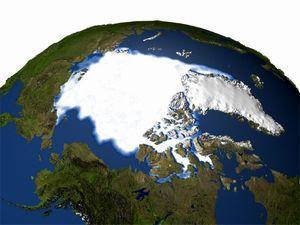 1. 기후변화현황 - 영향 1950 년이후극지방의빙산