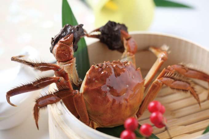 story 1 상하이 따자시에大闸蟹 털게프로모션 중국황제가즐겨먹던상하이털게인 따자시에 를이용한메뉴프로모션이시작됩니다. 쫄깃한살과황금빛알이가득한털게는 가을의선물 이라불리며전세계미식가의입맛을사로잡고있습니다.