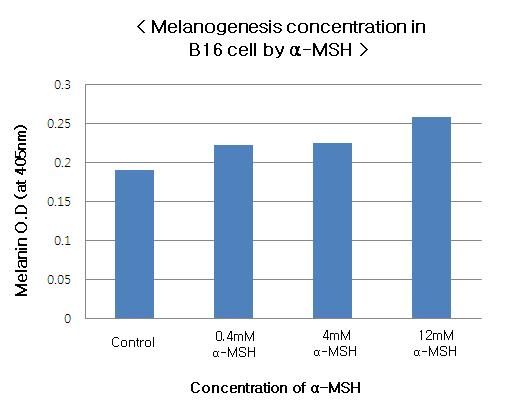 ( 그림 2.1-14). 이러한현상은 α-msh 수용체가활성화되어세포내 camp의증가 에따라 tyrosinase 관련효소들의발현양이증가하여 Golgi내 glycosylated tyrosinase는 melanosome 으로이동하여나타나는것이다.