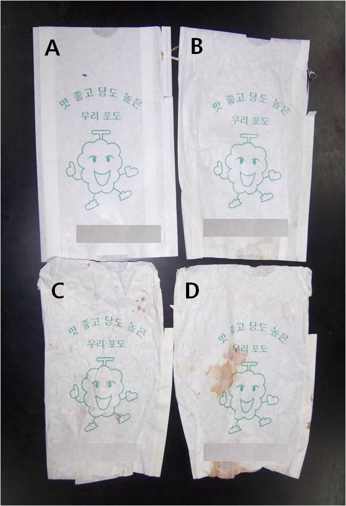 포도, 배 재배용 과수봉지의 열화 특성 43 Fig. 3. Cover and inner paper of pear growth paper bag.