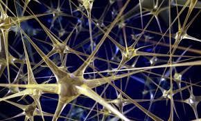 인공신경망 (Artificial Neural network)