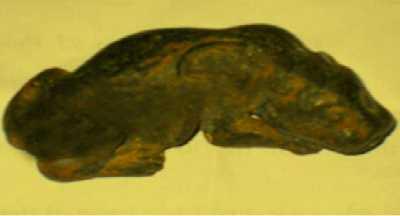 [ Tượng hình hổ 2000 năm tuổi được tìm thấy ở Hà Tĩnh ] Thời xưa con hổ luôn đe doạ đến đời sống của con người nên ở một số địa phương ở nước ta đã có tục thờ hổ.