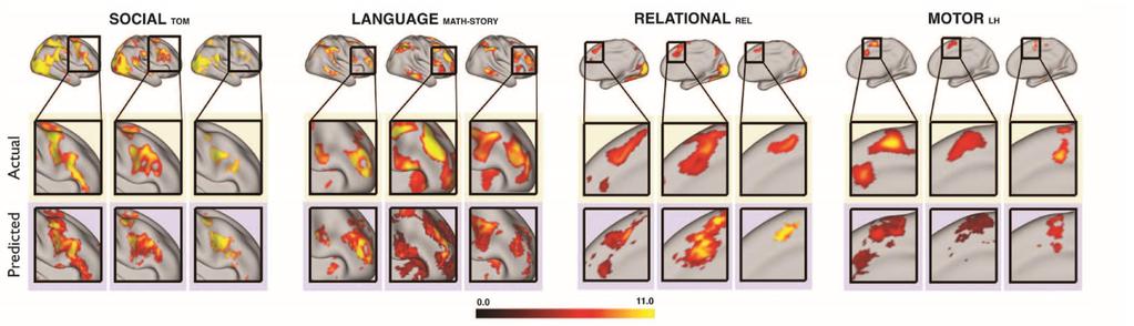 2. 뇌활동의개인적차이를예측할수있는모델 Predicting individual variations in task maps.