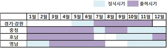 반면, 영남지역에서는 2012 년종자수급문제로정식시기가지연되었지만 2013 년정식은 11월로앞당겨졌다. 방울토마토는촉성작형주산지인충청에서황화잎말림바이러스내병성품종보급으로정식기가전년보다한달가량앞당겨진 10월로조사되었다. 그림 8-22.