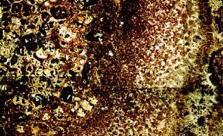 5kbar 정도의 한 지구조 환경에서 섭입되던 염기성 화성암(현무 열변성 작용을 받아 1867±4Ma에 만들어졌다.