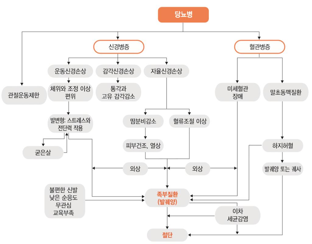 당뇨병성족부질환의발생기전 DM Kim J