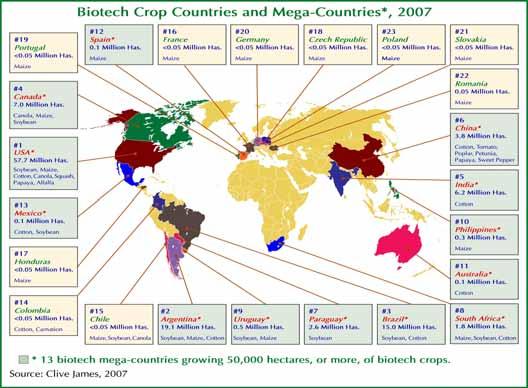 우리나라의식량수급과유전자재조합식품 수수의재배가급증할것으로예상되고있다. 캐나다는 6.1% 를차지하며, 캐놀라, 옥수 수, 콩을재배하고있다. EU 의경우 GM 작물의재배가제한되어스페인등일부지역에 서만재배되고있다 ( 그림 3). 그림 3. 2007년 GM 작물재배국가현황 1990년대후반에는유전자재조합기술을응용한신품종이상업화되기에이르렀다.