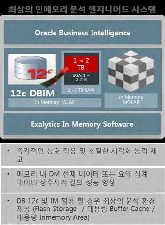 Custom Apps BI Apps EPM Apps Business Intelligence 12 c 1~2 TB SGA : 1~2.