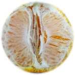 감귤류동해한계온도구명 Determination of freezing limiting temperatures in Citrus 연구배경 기후변화의영향으로겨울철이상한파가발생하여과실에언피해( 동해)