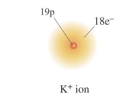 K 원자 - 1 전자 --> K + 양이온 19 protons 19 protons