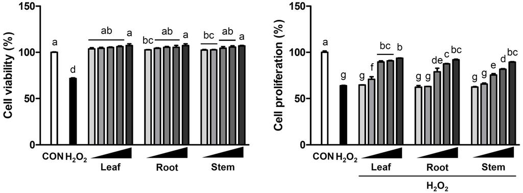 978 변의홍 김광욱 김이은 조은지 민희숙 이정현 조규성 윤우정 김병천 안동현 박원종 Fig. 3. Effect of barley sprout leaf, root, and stem ethanol extracts on proliferation of HT22 mouse hippocampal cells.