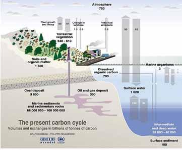 자료 : UNFCCC 자료 : 국립산림과학원 식물은광합성을통하여지구온난화의주요원인인이산화탄소를흡수하고산소를방출하는과정에서영양분의형태로나무와토양에탄소를저장합니다. 이렇게저장된탄소는다시식물의호흡이나토양내유기물분해를통하여대기중으로방출됩니다.