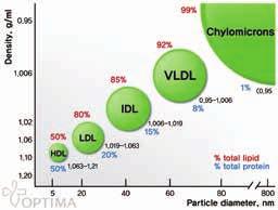 [Density and Particle diameter of lipoprotein] 모세혈관에서는주로혈액과조직액등의물질 고지혈증의병인과악화인자알기 교환이이루어집니다.