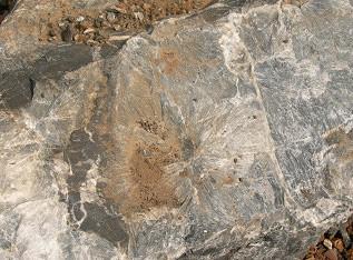 일본은활석 ( 탈크 ), 질석, 해포석, 수활석과같은천연광물수입시석면함유여부를검사하도록권고하고있음. 표 49.
