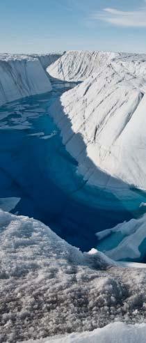 변화하는환경에대한우려의목소리도커지고있는데, 북극해가열리면서선박을통해유입되는외래종이북극생태계에미치는영향, 해류를타고돌고돌아북극빙하코어에서발견된플라스틱미세입자등이그것이다.