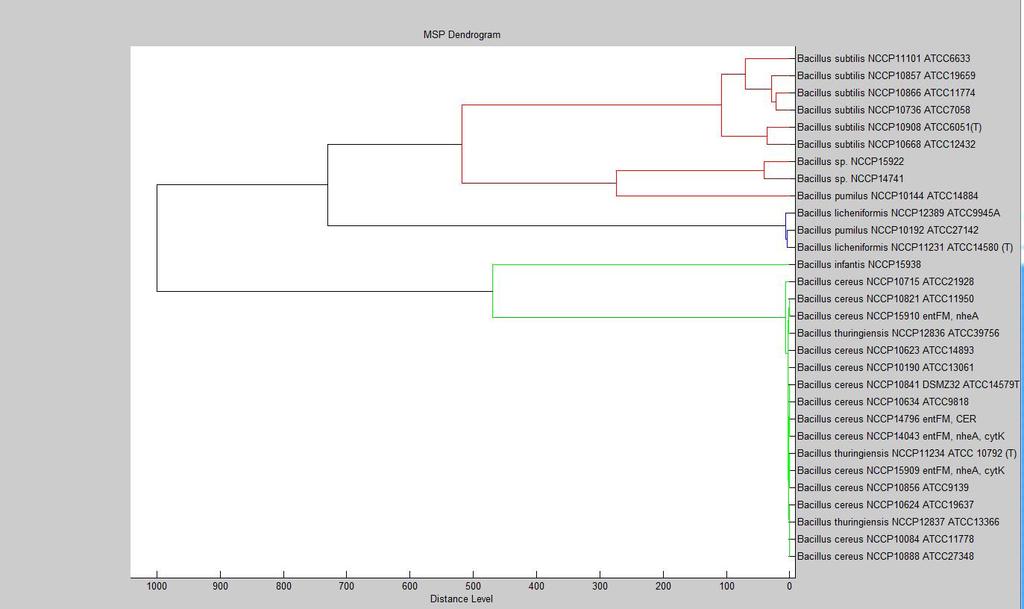 주간건강과질병 제 1 권제 31 호 Figure 3. Major spectrum profile (MSP) dendrogram of Bacillus strains supplemented in the database 라이브러리를만들었다고보고하였다 [8, 9].