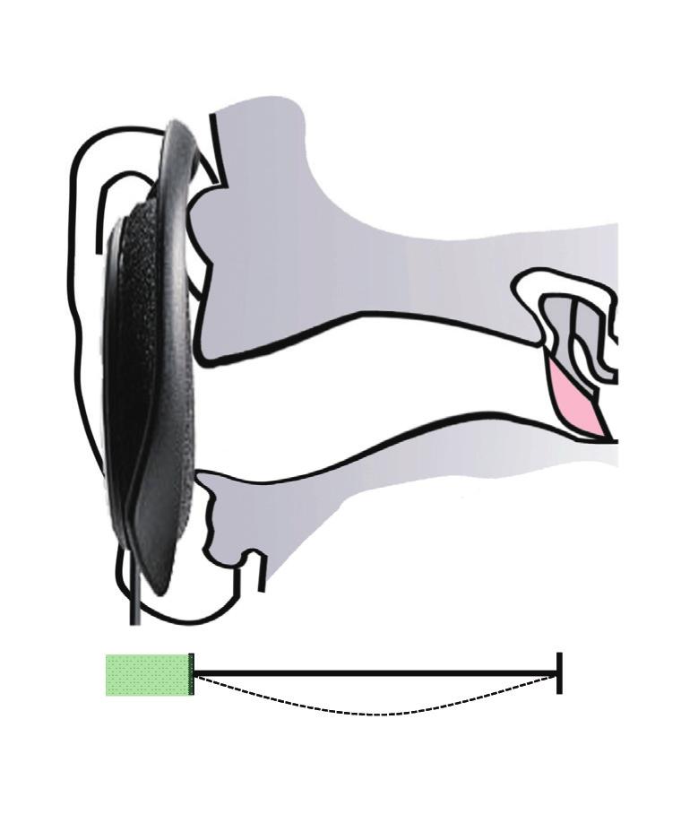 W Na et al. ASR A B 1.7 cm 0.8 cm 1.2 cm 1.3 cm Figure 1. Insertion depth-of four earphone types in the ear canal.