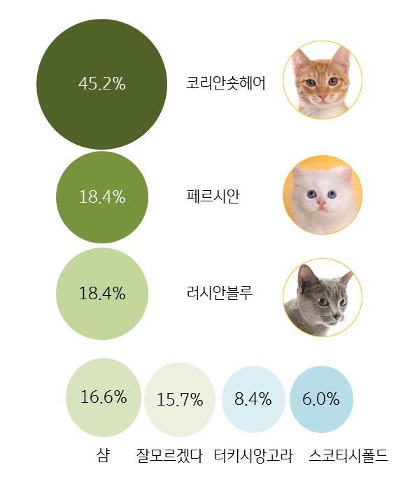 7세 ) 몰티즈, 푸들과같은순종견은 10세이상 비중이 10% 수준인반면, 믹스견은 10세이상 비중이 21.0% 로다른반려견보다고연령비중이상당히높음 기르고있는반려묘의연령은 1~3 세가 65.