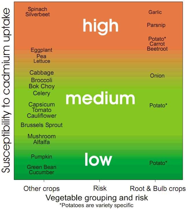 첨부 9 국내외오염물질저감화기술현황자료조사및분석 첨부 9-1. Cadmium concentration in soil and transition to plants 첨부 9-2.