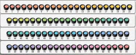 아래에서컬러의밝고어두운정도에따라컬러칩을배열한다. 색배열이모두끝나면전용분석소프트웨어를이용해피검자의결과에대해분석 평가를내릴수있다.