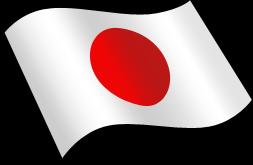 일본사례 : 침체된은퇴대국 인구구조 1970 년 1994 년 2000 년 고령화사회 7%(733