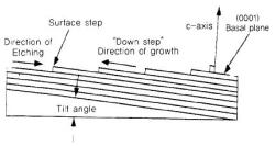 Fig. 9 Step-controlled