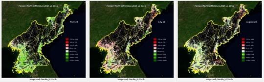 북한농업동향 공개된이미지에따르면, 2016년 5월말의경우남서부지방을중심으로전년대비조금나아졌으나 7월중순, 북한의 NDVI 는전국에걸쳐급격히악화되었음. 서부전역에걸쳐전년동기대비식생의분포량 활동성이 25~50% 가량감퇴하였음. 북부일부지역은전년대비 50~70% 떨어진 NDVI 를보였음.
