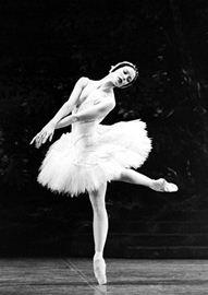 Taglioni, 1804-1884) 는부드러운천을겹쳐만든무릎아래길이의로맨틱튀튀를입고발끝을완전히세워춤추는동작뿌앵뜨 (pointe) 기술을구사하며춤을춰, 요정의서정적이고환상적인세계를표현하여자신의이름을부동의것으로만들었다 ( 표혜원, 2007). 라실피드 는 지젤, 백조의호수 와함께삼대백색발레 (Ballet Blanc) 의하나로꼽히는로맨틱발레의대표작이다.