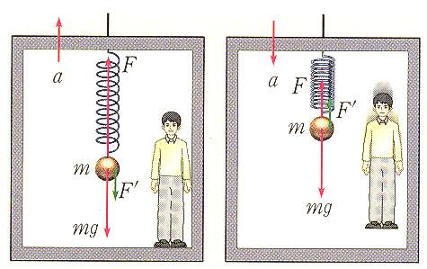 것입니다. 이때는손잡이에중력과장력이외의힘이작용하여평형상태를유지하고있다고생 각하면됩니다. 즉가속도 a 의방향과반대방향으로어떤힘 F' 가손잡이에작용하여평형을 이룬다고생각할수있습니다. 따라서손잡이에작용하는힘은다음과같습니다. 식 (1-42) 와 (1-43) 을비교해보면 mg+ T+ F'=0 (1-43) F' 는 F' =-ma (1-44) 가된다.