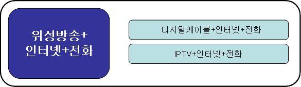 < 그림 Ⅲ-17> 위성방송서비스를포함한결합상품의상품시장획정 C.