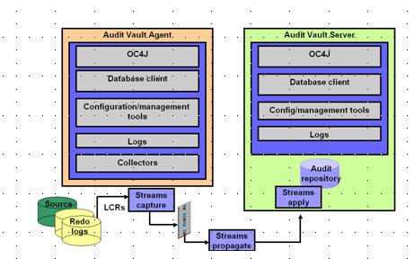 2.3.3. Redo Database Audit Vault Redo 로그에저장된내용을포함하며모든대상을