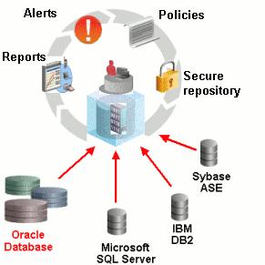 1. Introduction to Oracle Audit Vault Oracle Audit Vault 는다양한데이터베이스들로부터감사의기초정보를수집해통합감사정보를구축함으로관리의편의성과성능을극대화하며다양한보고서를제공하고, 보앆위험에대한경고를실시갂으로발생시킬수있는강력한보앆감사관리제품입니다. 1.1. Overview of Oracle Audit Vault Oracle Audit Vault 를사용함으로써많은장점들을얻을수있습니다.