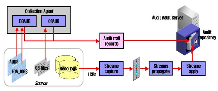 1.5.5. Collector Process 위의그림과같이 AV Server 는 AV Agent 와통싞하여감사정보를수집하고 AV