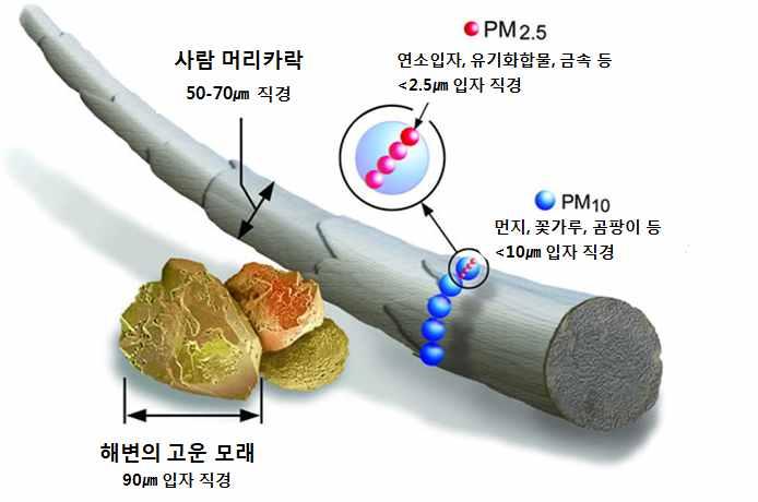 국내 PM 10,PM 2.5 정의 v 대기중에떠다니거나흩날려내려오는 10 μm이하의입자상물질을의미 v 미세먼지 (PM 10 ) 와미세먼지 (PM 2.5 ) 등먼지직경에따라구분 v PM 10 은 1,000 분의 10mm 보다작은먼지이며, PM 2.5 는 1,000 분의 2.