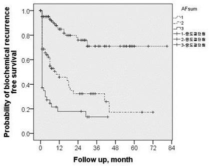 O-24 Adverse features and biochemical recurrence free survival in men with high-risk prostate cancer Jung Woo Lee, Dong Hoon Lee, Jong Kil Nam, Moon Kee Chung, Sung Woo Park Department of Urology,