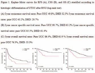 O-226 Effect of diverse histologic differentiation on the oncological outcomes of patients with upper urinary tract carcinoma after radical nephroureterectomy: the korean multi-institutional results