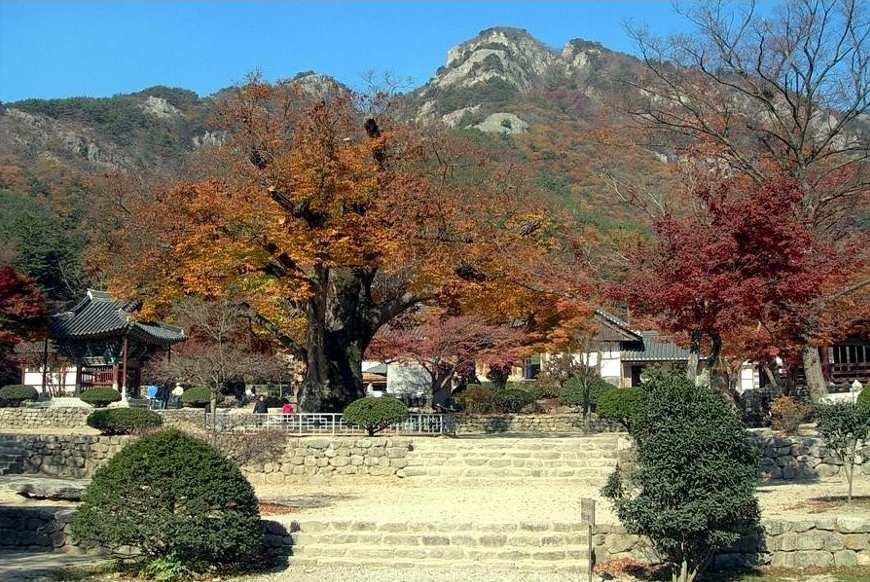 변산해수욕장 3) 내소사 전북부안군진서면석포리에서북쪽으로 내소사 1.2km 정도의거리에있는 내소사는백제무왕 34 년(633) 에창건 되었다고전한다. 곳에절을세워큰절을 혜구두타스님이이 ' 대소래사', 작은절을 ' 소소래사' 라고하였는데 그중대소래사는불타없어지고지금 의내소사는소소래사이다.