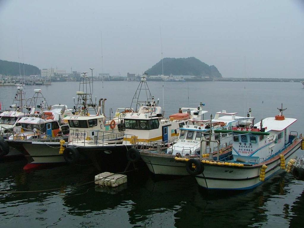 또한태안해역에는대산항, 평택항, 보령항 을중심으로정유공장, 대형저유시설, 석유화학공장등이폭넓게위치하 고있어유조선, LNG 운반선, 화물선등대형선박의항행이빈번하므로 해난사고발생시대형오염사고로이어질가능성이매우높으며, 주변해