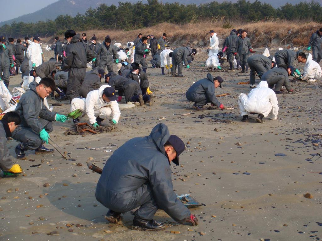 어느정도 잦아들면서 타르덩어리가 해안에 부착되었다고 곳곳에서 신고가 접수되었다. 서해지방청장(경무관 이원일)을 비 롯하여 서해청, 목포해경서, 완도해 경서 직원 약 500여명은 기상여건 이 양호해진 1월 2일부터 1월 7일 까지 총 6일간 무안해제면 도리포와 신안 임자면 대광리 해안가에 전격 투입하였다.