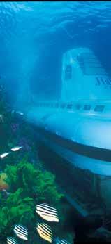 마라도잠수함 / 서귀포잠수함우도잠수함 / 해적잠수함잠수함지아호를타고해저 10m 의다양한해조류들과 30m 의맨드라미산호초군락을감상할수있다.
