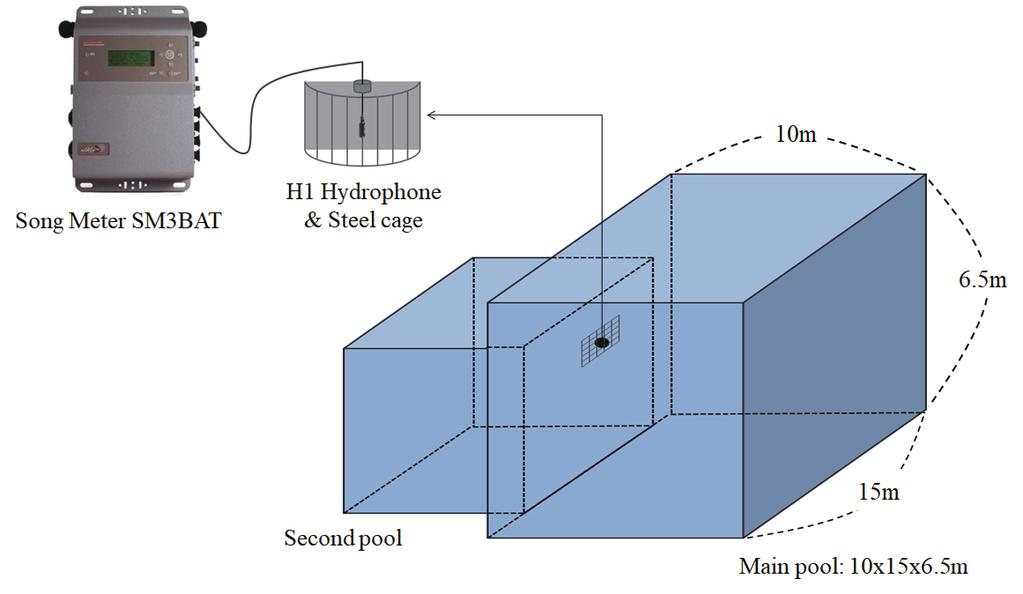 사육흰고래의휘슬음특징 801 10 m Song Meter SM3BAT H1 Hydrophone & Steel cage 6.5 m 15 m Second pool Main pool, 10x15 6.5 m Fig. 1. Survey diagram (installation position and method of hydrophone).