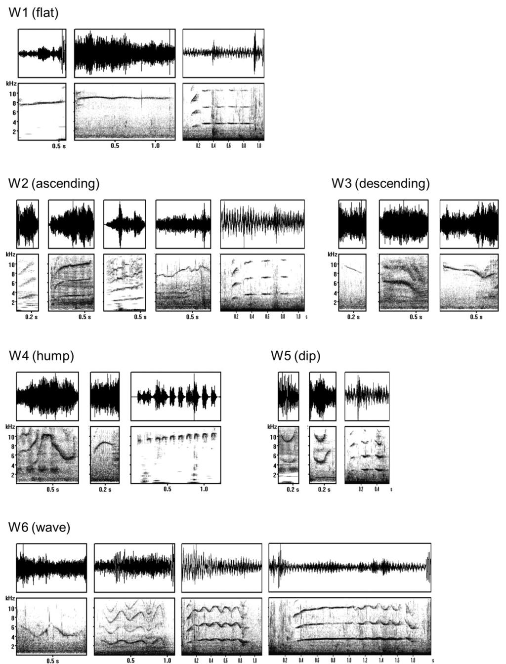 사육흰고래의휘슬음특징 803 Fig 2. Representative spectrograms of six whistle type classified by visual inspection method in this study.