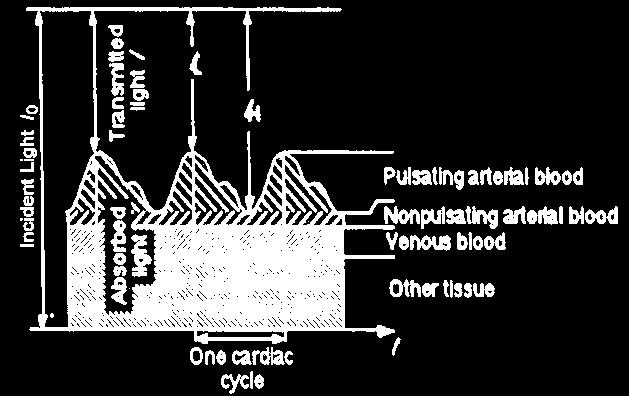blood 포함 tissue bed에의해흡수된부분 Pulse Oximeter Calibration Curve 97% - 99% :